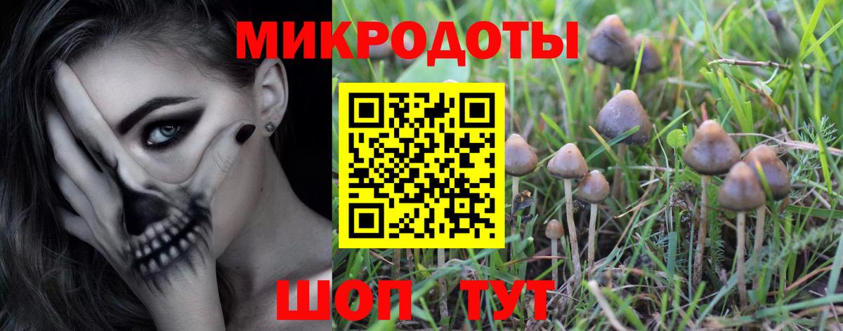Галлюциногенные грибы GOLDEN TEACHER Клинцы