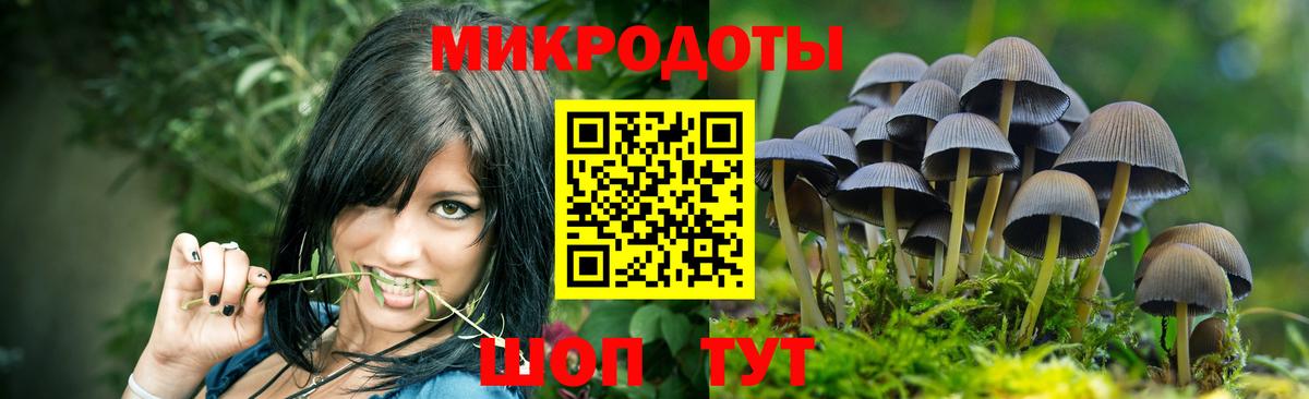 Псилоцибиновые грибы MAGIC MUSHROOMS  Вход с VPN  Клинцы 